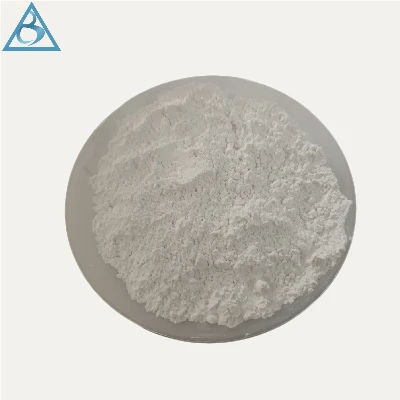 Alkali Free Accelerator Powder Alkali Free Accelerator Powder